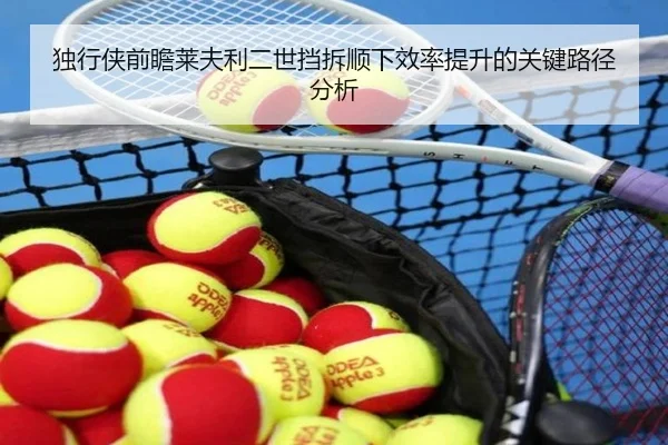 独行侠前瞻莱夫利二世挡拆顺下效率提升的关键路径分析
